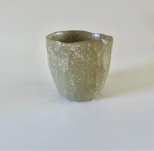 Load image into Gallery viewer, The &#39;Latte cup&#39; Eucalyptus (new)
